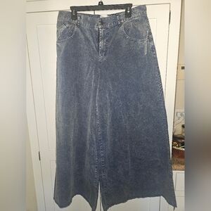 BDG Extreme Wide-Leg Jean Size 32